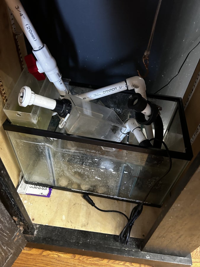 20 gallon with hob overflow and 10 gallon sump