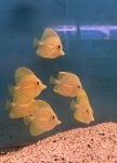 IMG_2426.jpeg