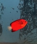 IMG_2423.jpeg
