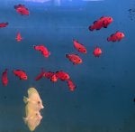 IMG_2425.jpeg