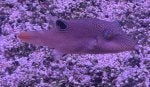 IMG_2432.jpeg